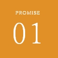 PROMISE 01