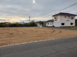コラム：サムネイル画像